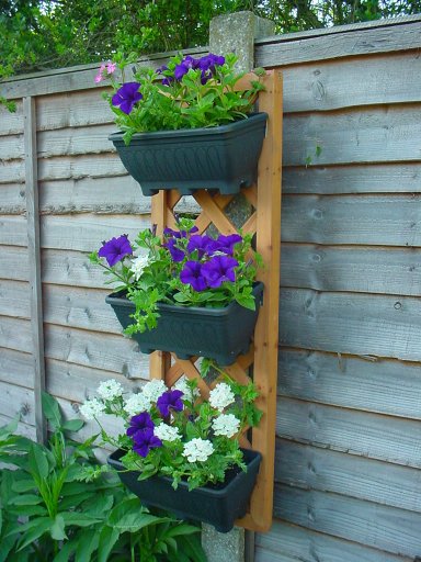 plant theater with containers